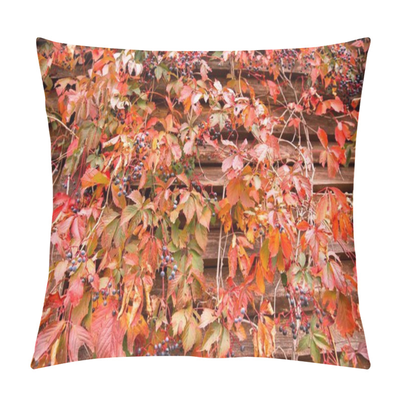 Personality  Rustic Wooden Wall With Red Autumn Leaves And Blue Berries Pillow Covers