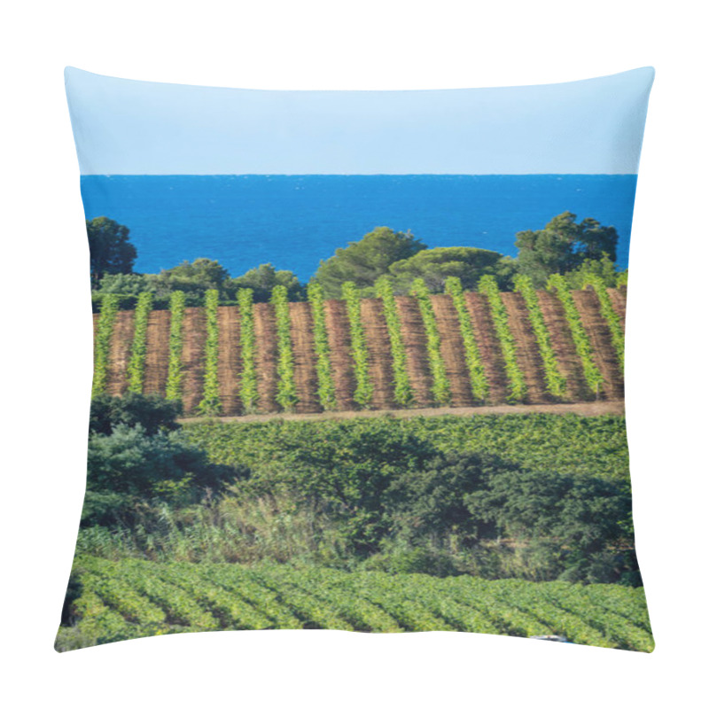 Personality  Rows Of Ripe Wine Grapes Plants On Vineyards In Cotes  De Provence With Blue Sea Near Saint-Tropez, Region Provence, Saint-Tropez, South Of France, Rose Wine Making In France Pillow Covers