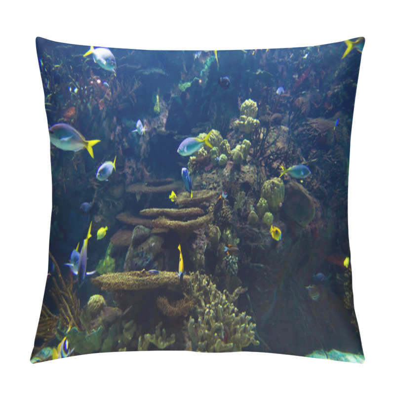 Personality  Undersea World Pillow Covers