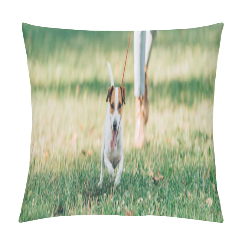 Personality  Panoramic Crop Of Jack Russell Terrier Walking On Grass Near Woman  Pillow Covers