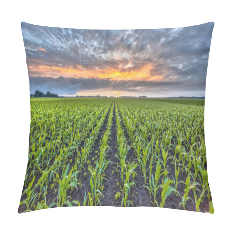 Personality  Corn Field Under Setting Sun Pillow Covers