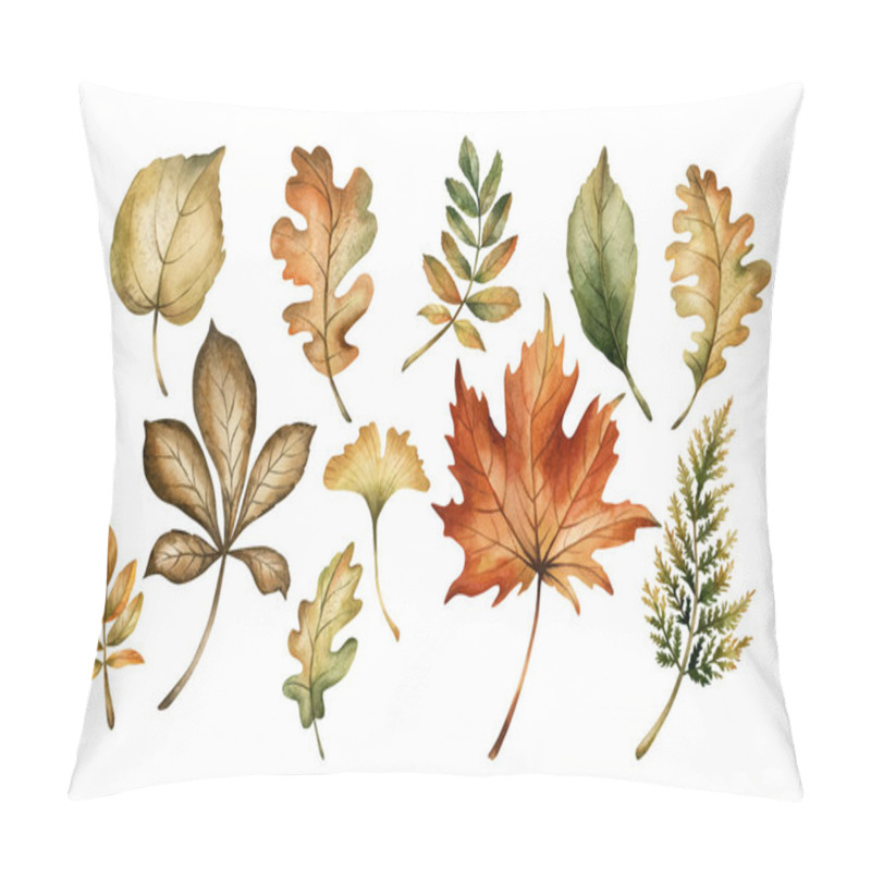 Personality  Autumn Foliage. Set Of Fall Leaves. Maple, Oak, Fern, Rowan, Birch, Ginkgo. Watercolor Hand Drawn Floral Illustration Isolated On White Background For Fall Design, Cozy Cards, Prints, Floral Labels Pillow Covers