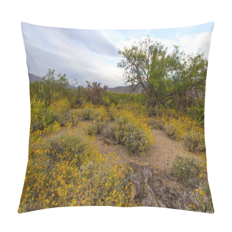 Personality  Desert Wildflower Landscape. Vibrant Super Bloom Of Yellow Brittlebush Flowers At Saguaro National Park In Tucson, Arizona. Pillow Covers