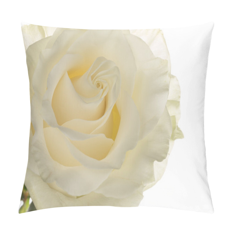 Personality  Rose With A Delicate Aroma Pillow Covers