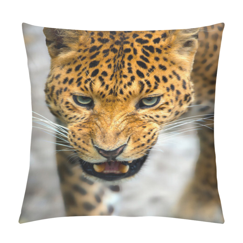 Personality  Leopard In The Wild On The Island Of Sri Lanka Pillow Covers