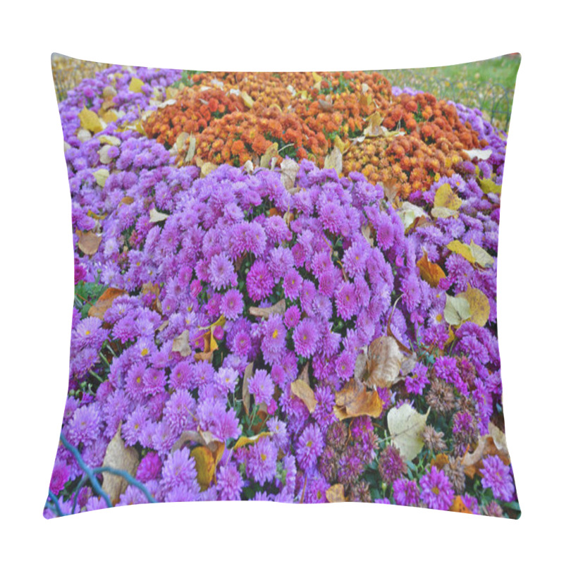 Personality  Beautiful Autumn Chrysanthemum Flowers; Beautiful Autumn Decoration Of Nature. Pillow Covers