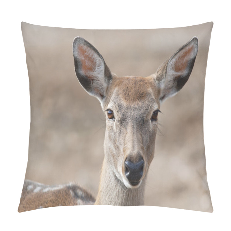 Personality  Big Ears And Eyes Of A Dappled Deer Female Pillow Covers