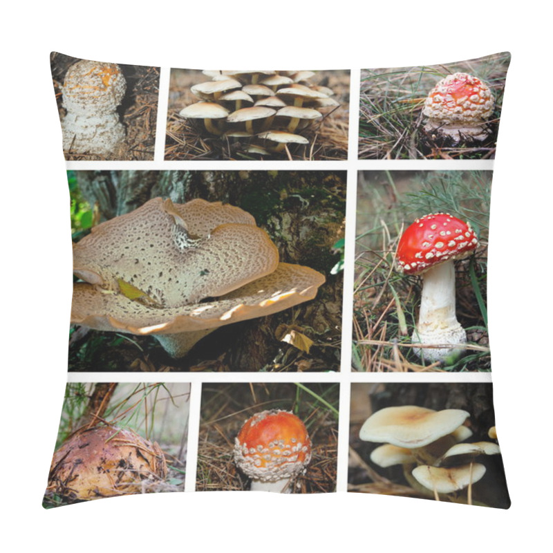 Personality  Mushroom Collage Pillow Covers