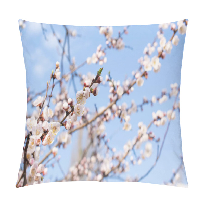 Personality  Spring Floral Background With Blooming White Sakura Pillow Covers