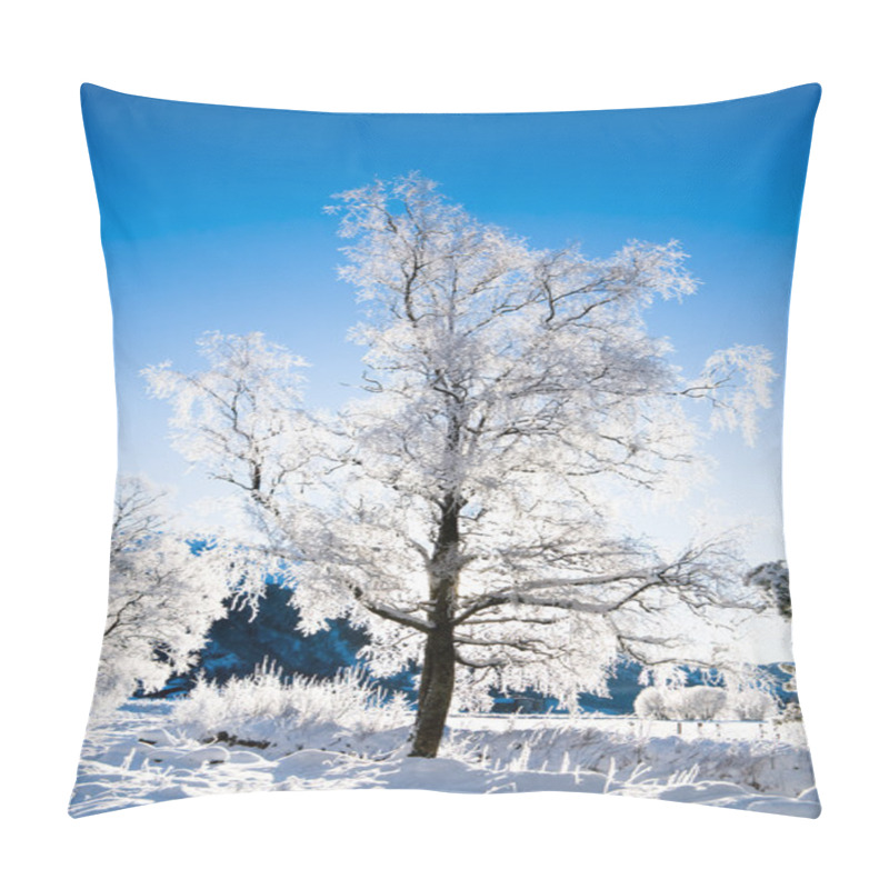 Personality  Winter Scene From Norway Pillow Covers