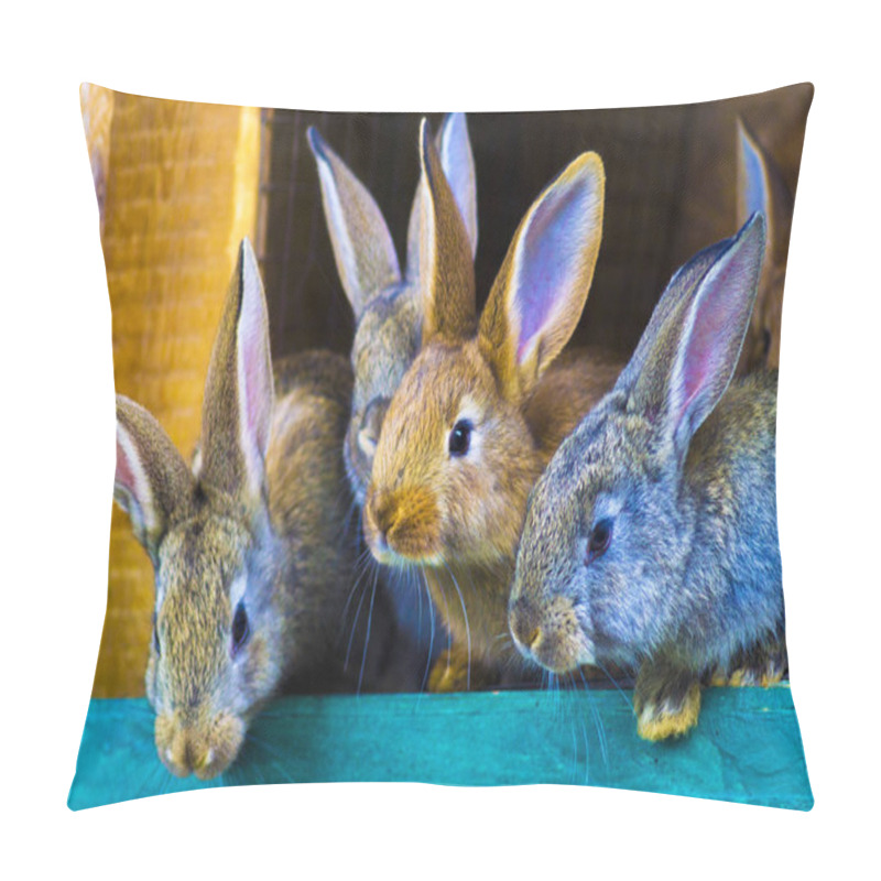 Personality  Small Rabbits In A Cage Pillow Covers