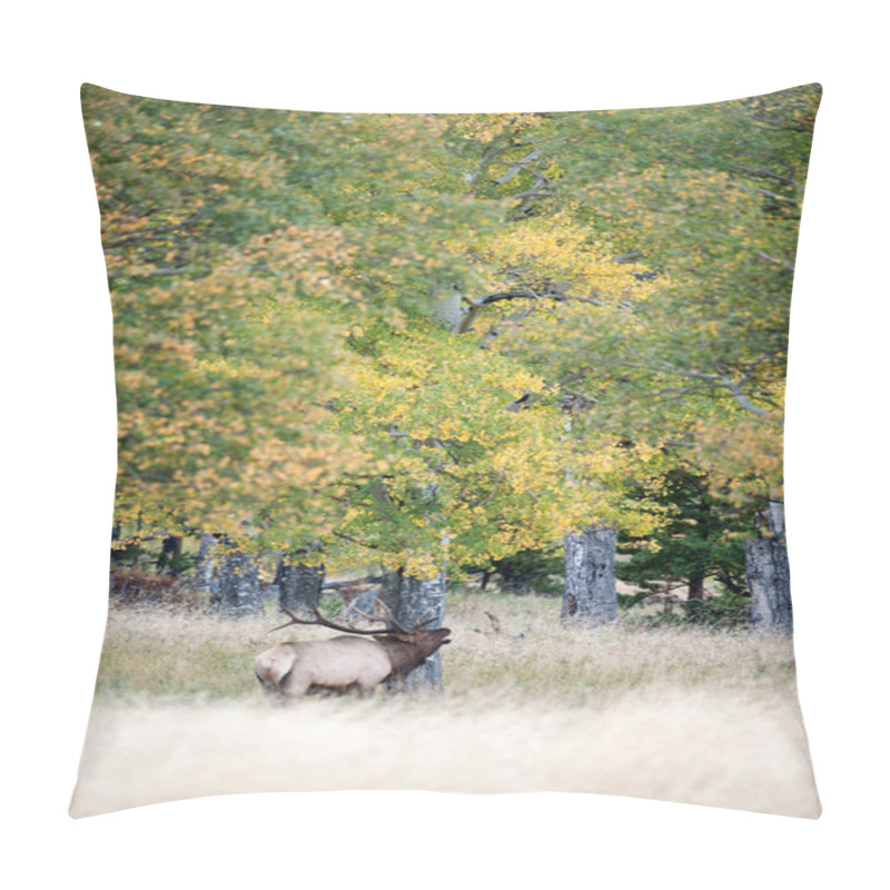 Personality  North American Elk  Pillow Covers