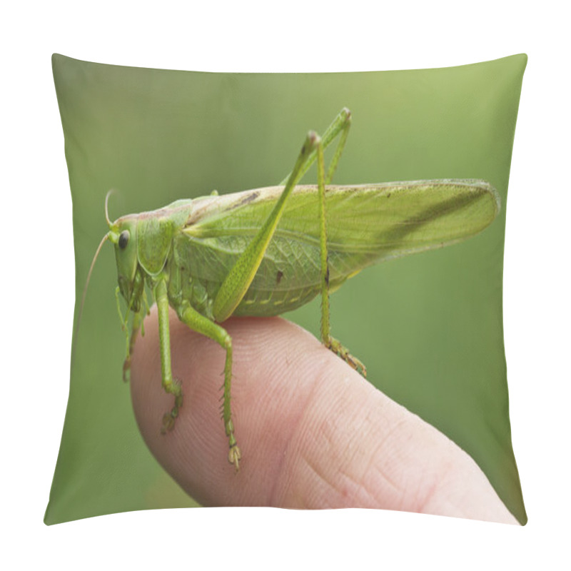 Personality  Great Green Bush Cricket 1 Pillow Covers