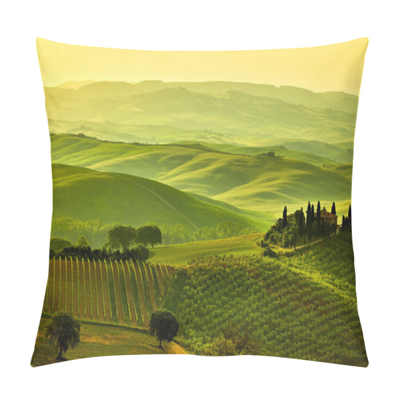 Personality  Landscape In Tuscany Hills Pillow Covers