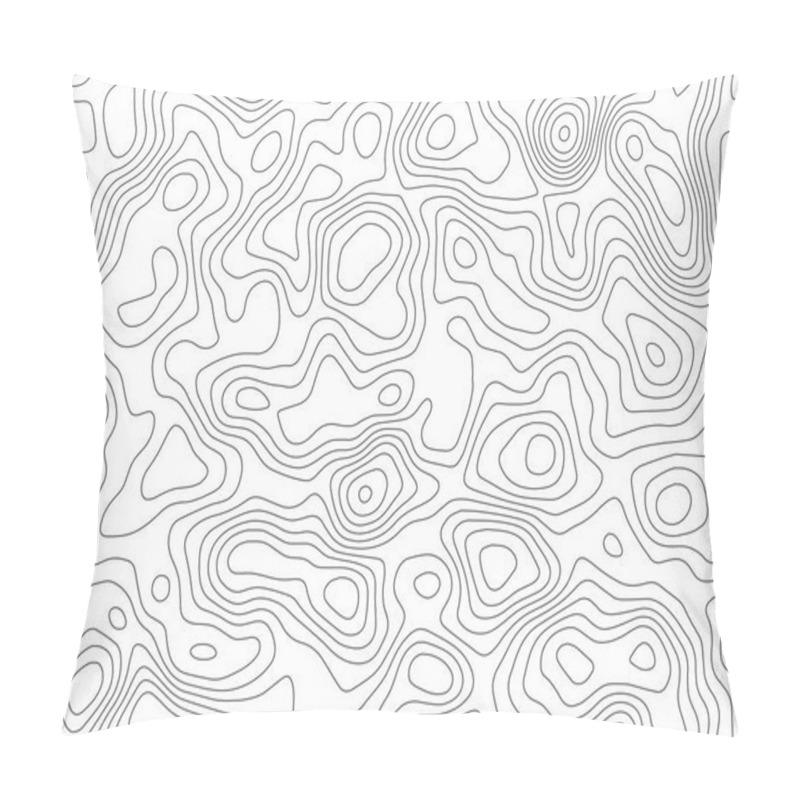 Personality  Topographic Map Backdrop. Conditional Geography Scheme And The Terrain Path. Contour Line Abstract Background. Pillow Covers