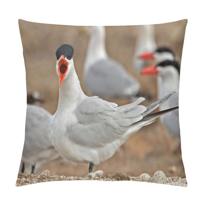 Personality  A Caspian Tern, Hydroprogne Caspia, Calling Pillow Covers