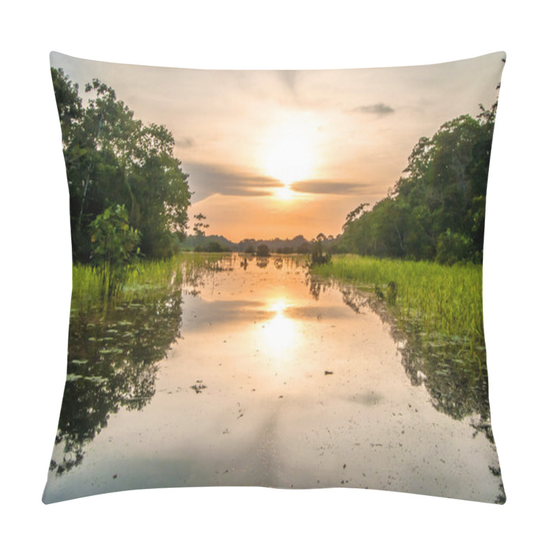 Personality  River In The Amazon Rainforest At Dusk, Peru, South America  Pillow Covers