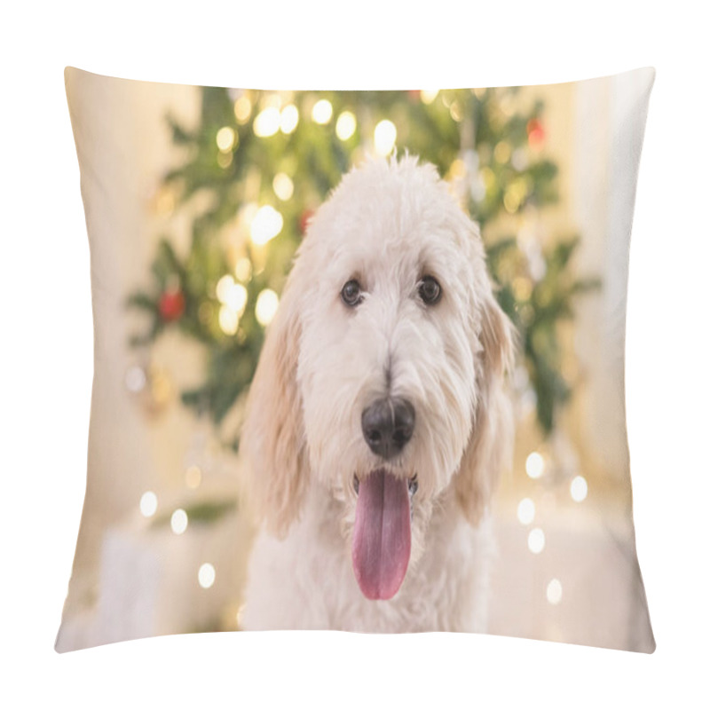 Personality  Close Up Of Golden Doodle Dog In Front Of Christmas Tree Pillow Covers