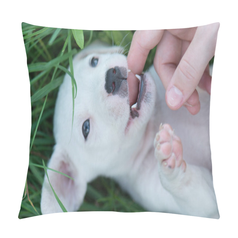 Personality  Playful Cute Dog Pillow Covers