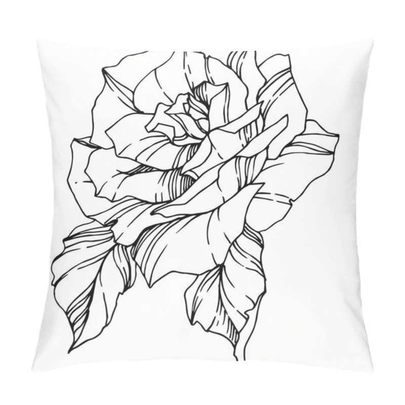 Personality  Vector Rose. Floral Botanical Flower. Engraved Ink Art. Isolated Rose Illustration Element. Beautiful Spring Wildflower Isolated On White. Pillow Covers