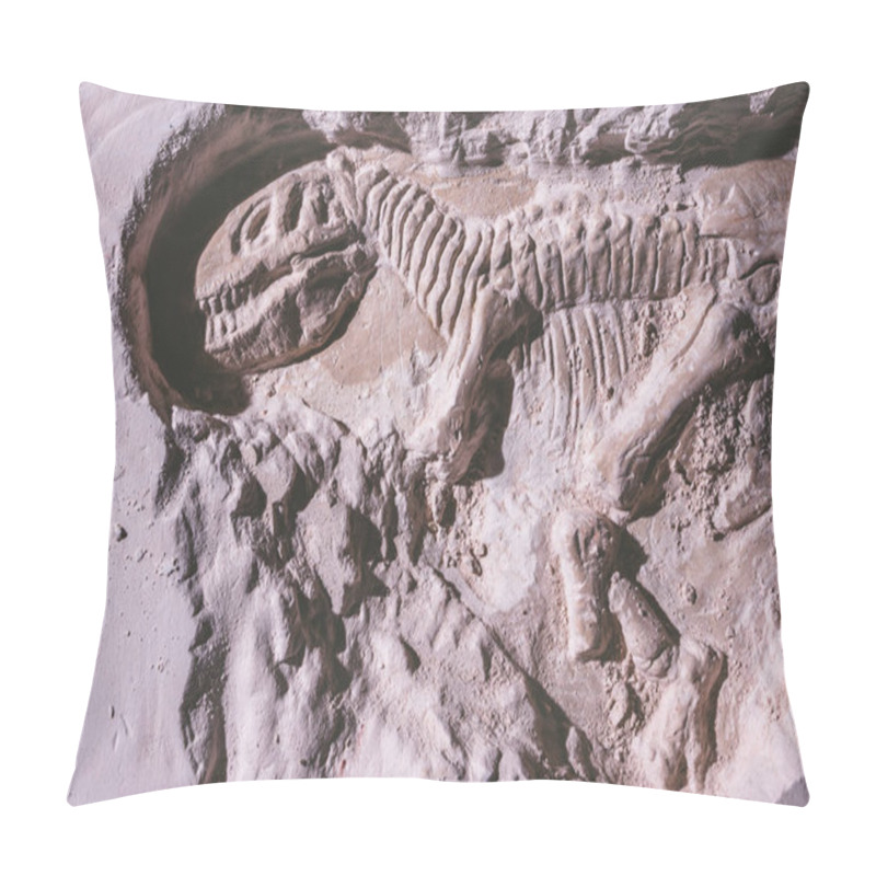 Personality  Skeleton Of Dinosaur. Tyrannosaurus Rex Simulator Fossil In Ground Stone. Pillow Covers