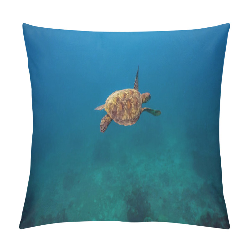 Personality  Green Sea Turtle (Chelonia Mydas) Gently Swims In A Clear Blue Coral Reef. Pillow Covers