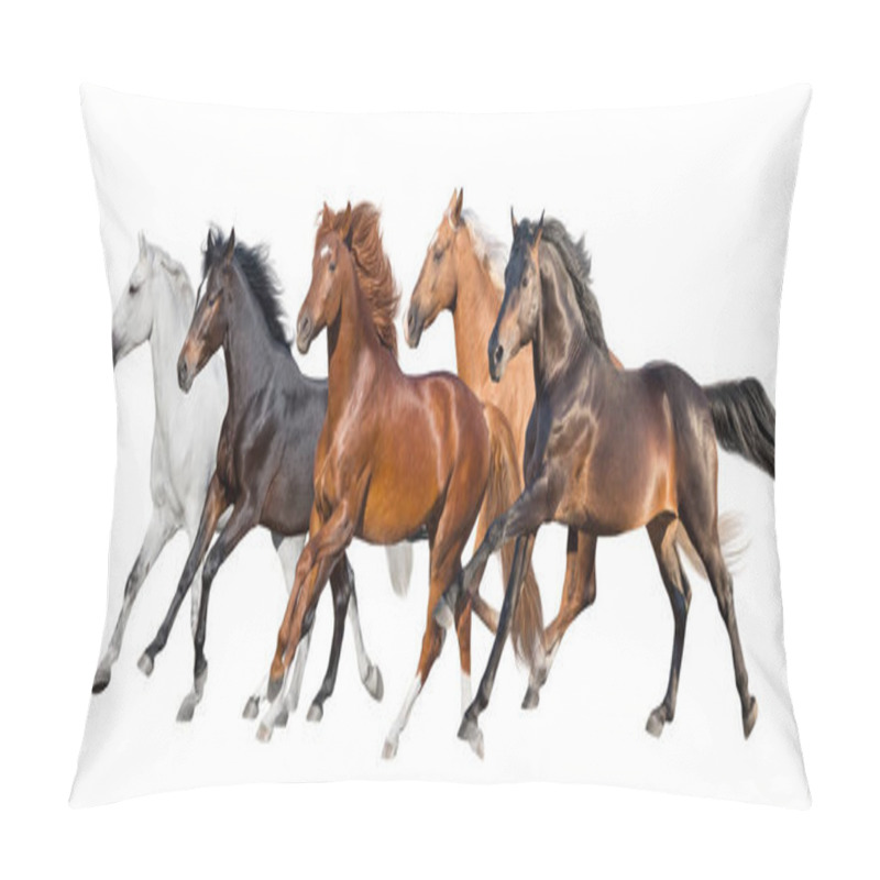 Personality  Horse Herd Fast Run Isolated Pillow Covers