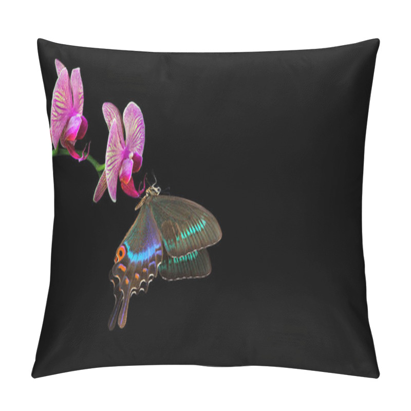 Personality  Bright Swallowtail Butterfly On Purple Orchid Flowers Isolated On Black. Butterfly On Flowers Pillow Covers