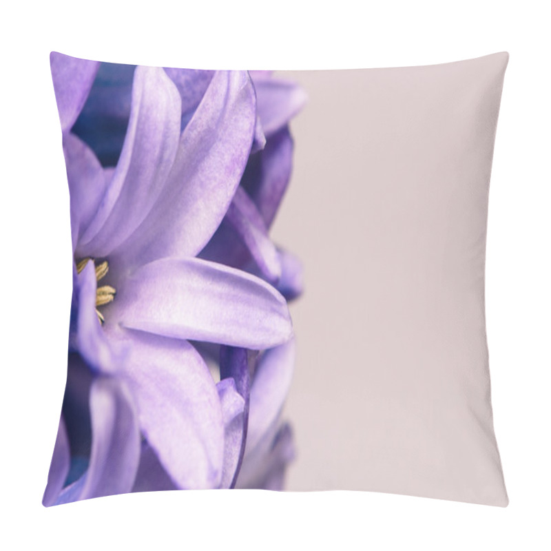 Personality  Hyacinth Flower Pillow Covers