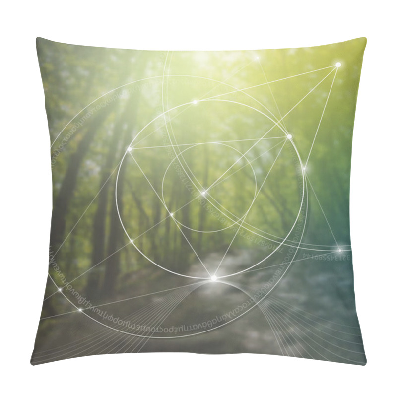 Personality  Sacred Geometry. Mathematics, Nature, And Spirituality In Nature. The Formula Of Nature. Pillow Covers