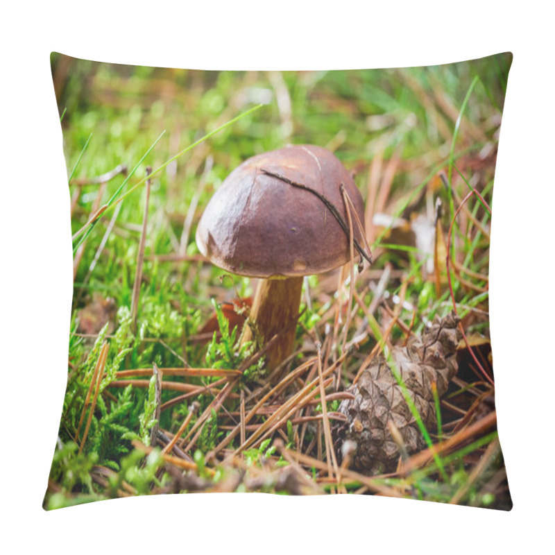 Personality  Little Boletus In Forest Pillow Covers