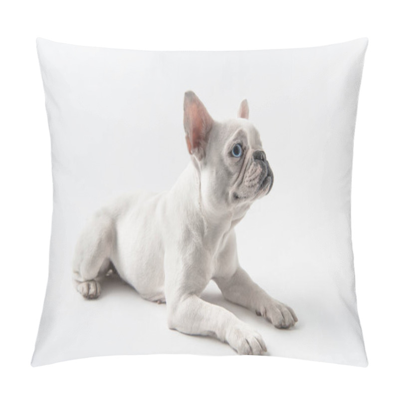 Personality  Cute French Bulldog Lying And Looking Away Isolated On White Pillow Covers