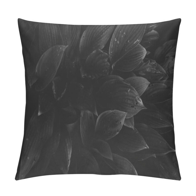 Personality  Abstract Textures Of Flowers And Plants From Nature. Floral Background. Pillow Covers