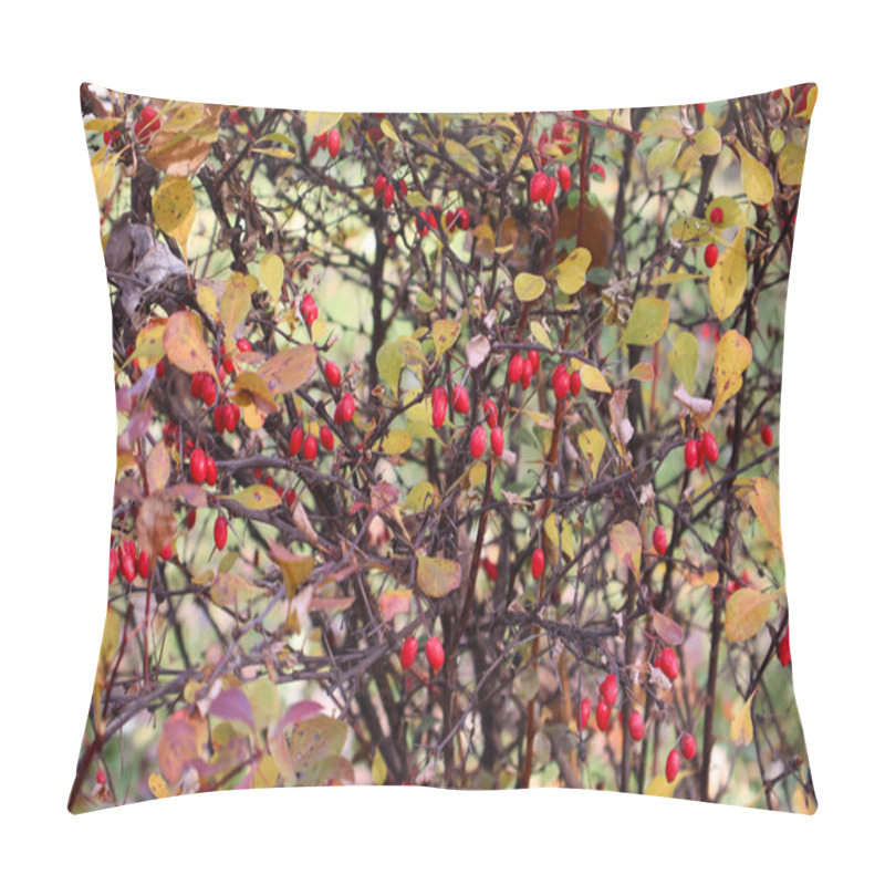 Personality  Close-up Of A Vibrant Autumn Shrub Featuring Bright Red Berries And Yellow Leaves, Captured In Natural Light. Pillow Covers