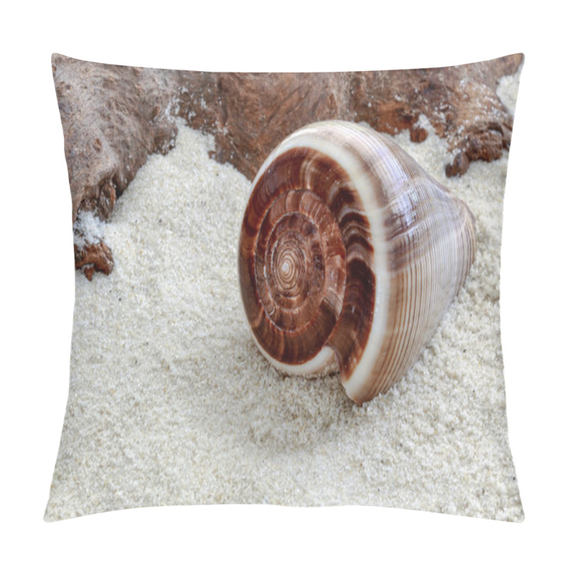 Personality  Cone Shaped Shell Pillow Covers