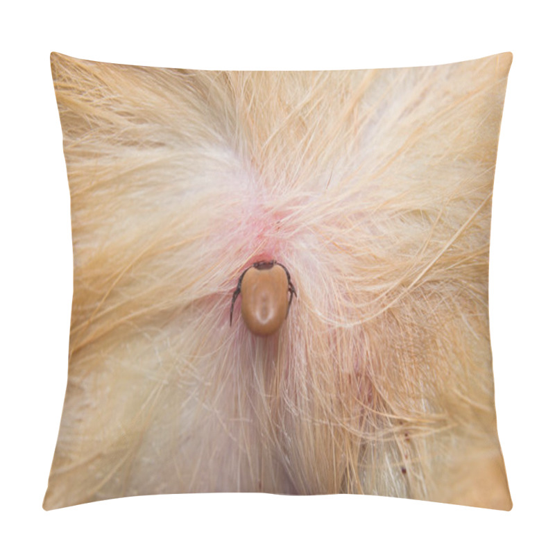 Personality  Close-up Photo Of A Tick Attached To Dog Skin Pillow Covers