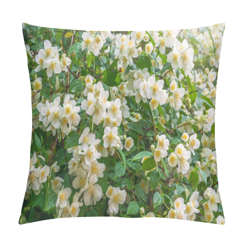 Personality  Bright White Flowers With Raindrops. Philadelphus Coronarius, Sweet Mock-orange, English Dogwood Pillow Covers