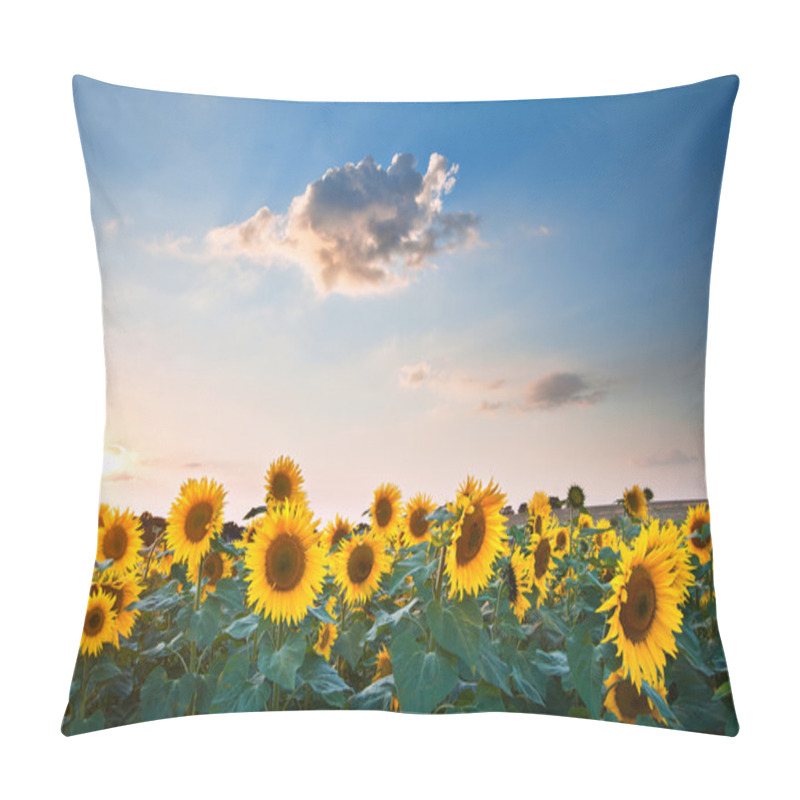 Personality  Sunflower Summer Sunset Landscape With Blue Skies Pillow Covers