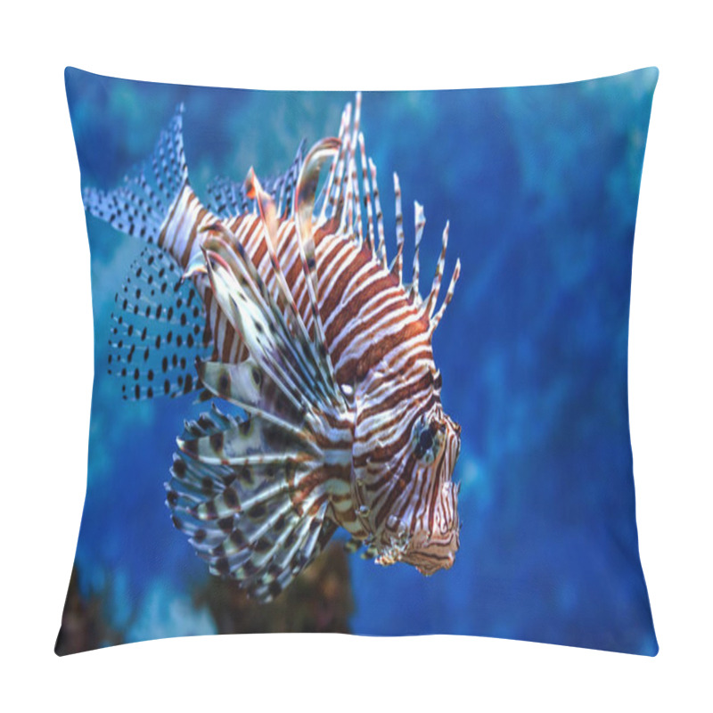 Personality  The Underwater World. Bright Exotic Tropical Coral Fish In The Red Sea Artificial Environment Of The Aquarium With Corals And Algae Aquatic Plants Pillow Covers