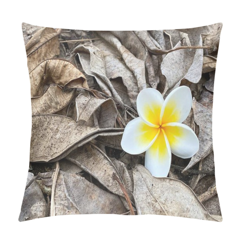 Personality  A Vibrant Single Yellow And White Frangipani Flower Resting On A Bed Of Dry Fallen Leaves Outdoors, Symbolizing Contrast And Natural Beauty In A Decayed Environment. Pillow Covers