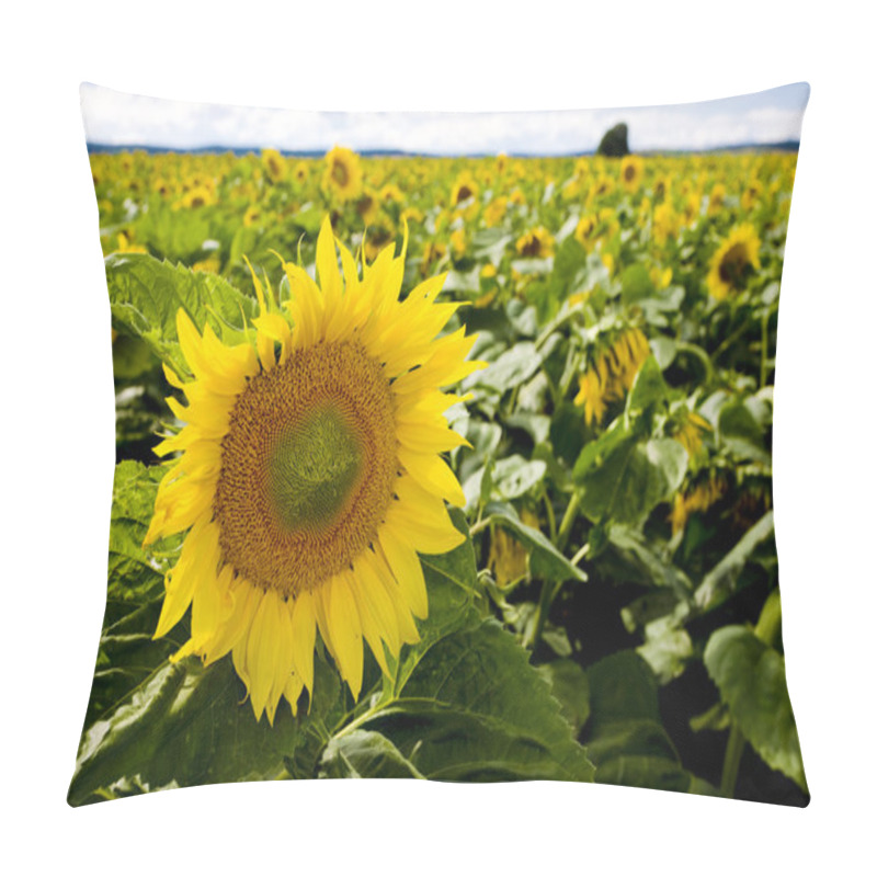 Personality  Sunflowers Pillow Covers