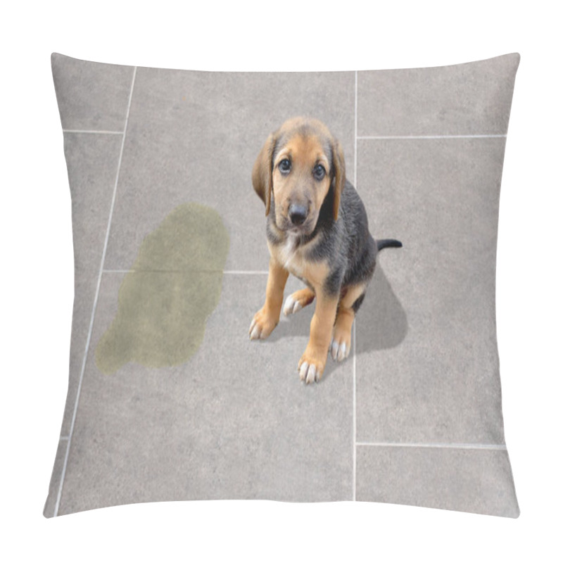 Personality  Cute Puppy Sitting Near Wet Spot Pillow Covers