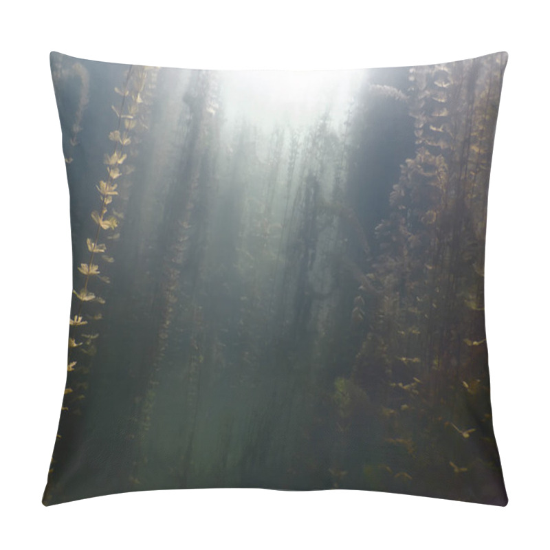 Personality  Underwater Flora. Underwater Plants Rivers, Lakes, Pond. Pillow Covers