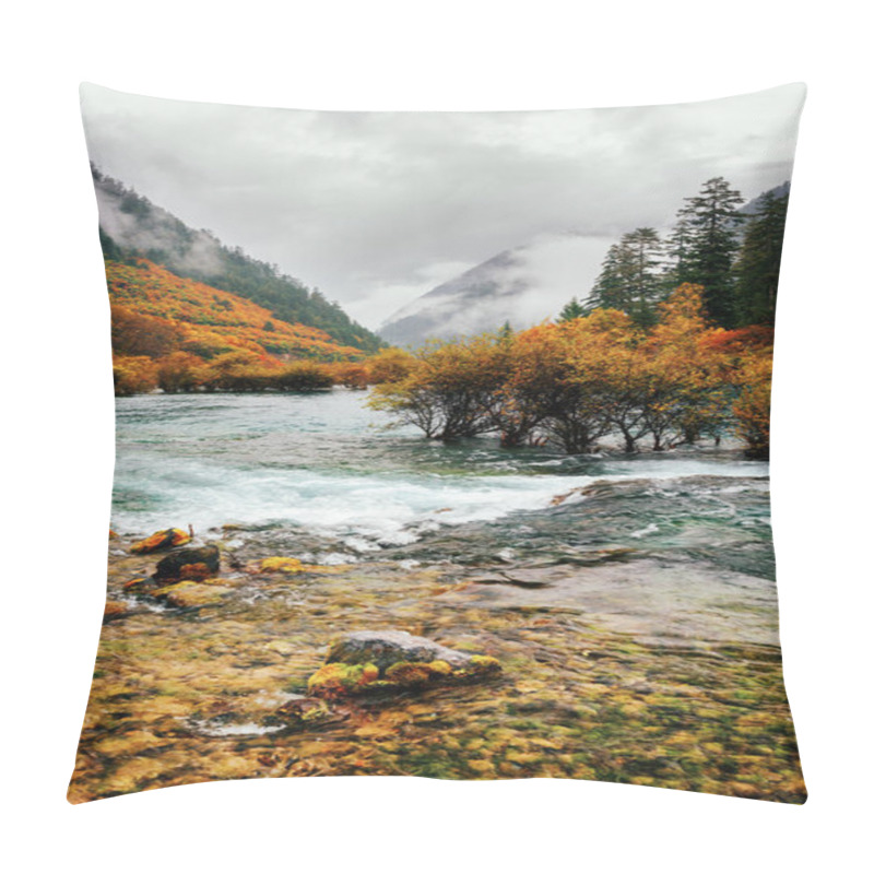 Personality  Beautiful View Of The Bonsai Shoals, The Shuzheng Valley, China Pillow Covers