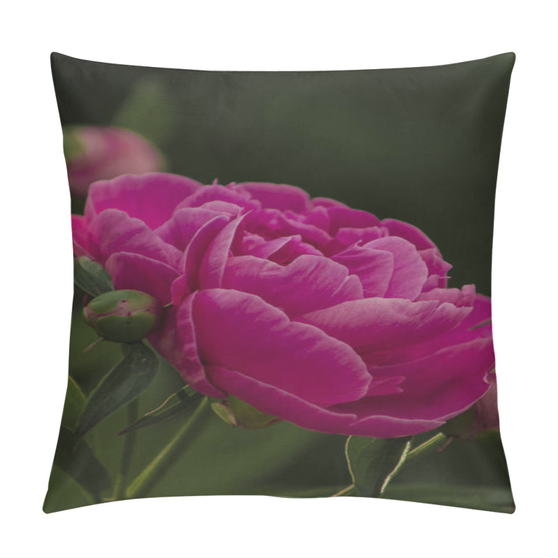 Personality  A Stunning Close-up Of A Pink Peony Flower In Full Bloom, Showcasing Its Soft Petals And Intricate Details. A Perfect Symbol Of Elegance And Natural Beauty. Pillow Covers