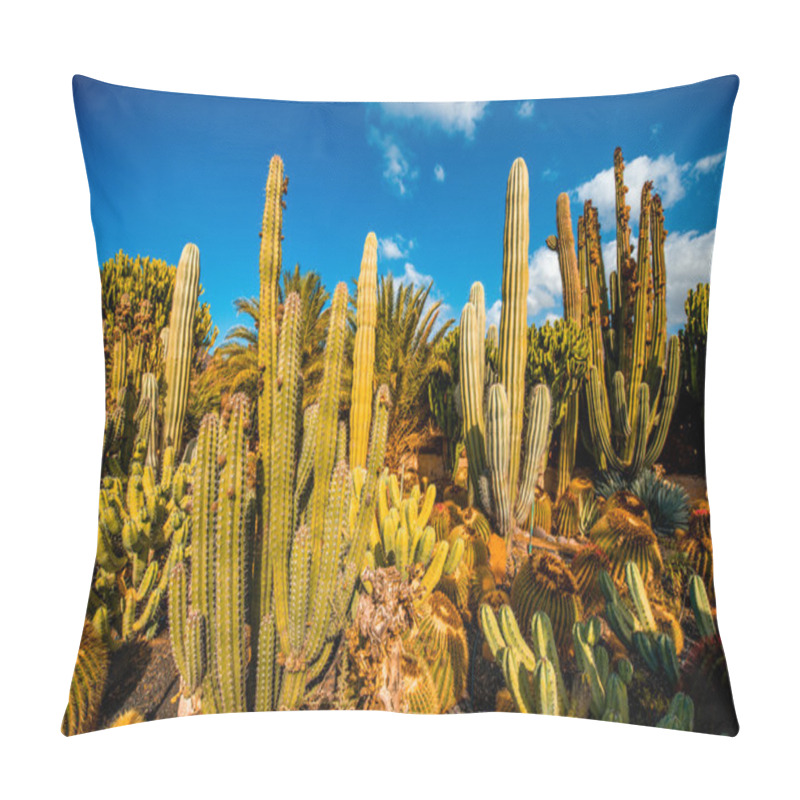 Personality  Cactus Garden On Gran Canaria Island Pillow Covers