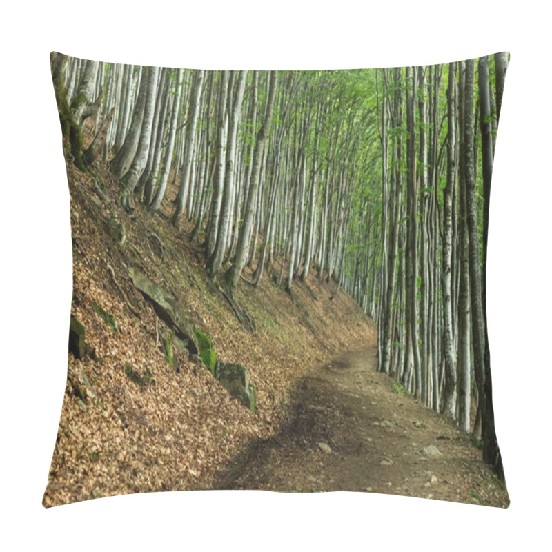 Personality  Tranquil Scene Of A Dirt Road Winding Through A Beech Forest On A Sunny Summer Day In The Carpathian Mountains, Showcasing Nature's Beauty Pillow Covers