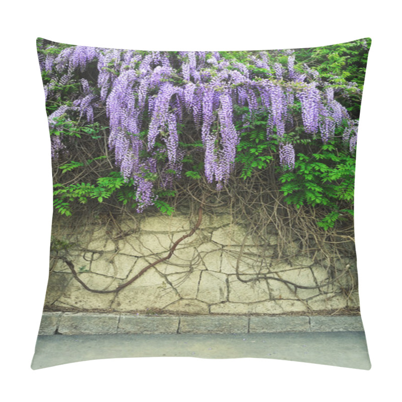 Personality  Wisteria Flowers Pillow Covers