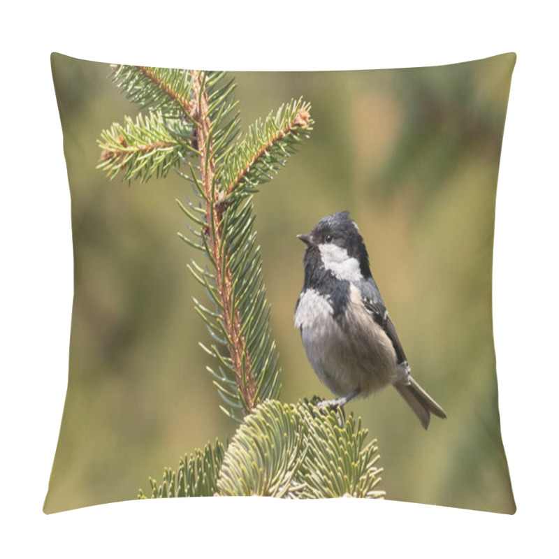 Personality  Coal Tit, Periparus Ater. A Bird Sits On A Spruce Branch On A Blurred Green Background Pillow Covers