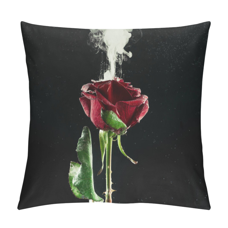 Personality  Close-up View Of Beautiful Red Rose Flower And White Abstract Ink On Black  Pillow Covers